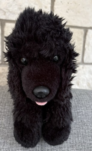 Black poodle dog puppy - poodle,