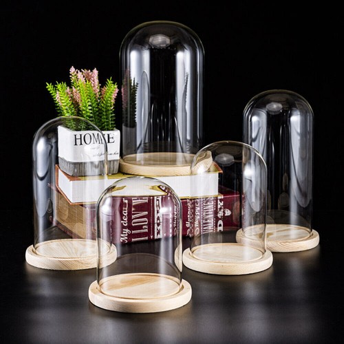 Christmas glass dome - dome, display