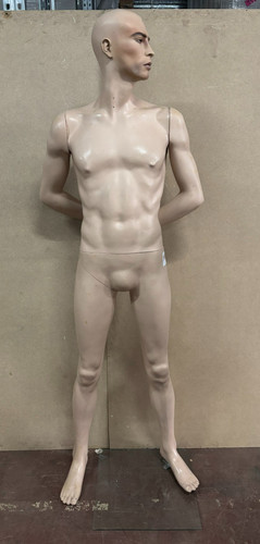 Lifelike mannequin display man - display,