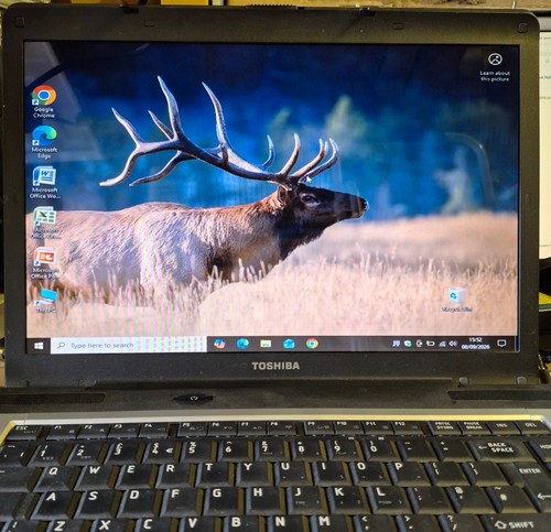 Toshiba laptop satellite pro - :satellite,
