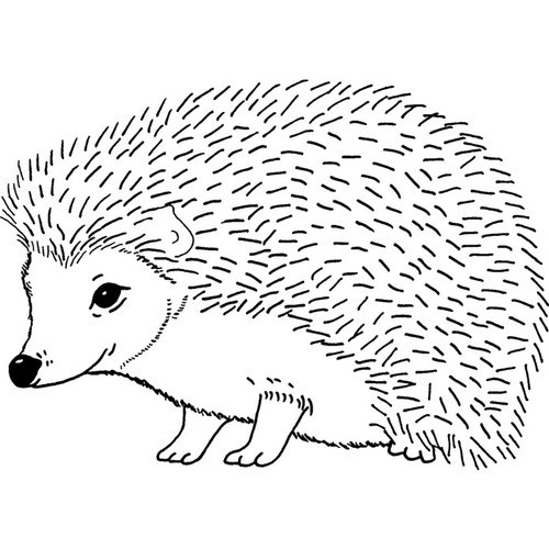 Hedgehog unmounted rubber - 'hedgehog',