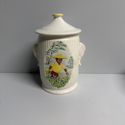 Sylvac tea caddy - caddy, with