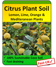Citrus Tree Potting Soil Lemon, Bougainvillea, Orange & Lime Potting Compost