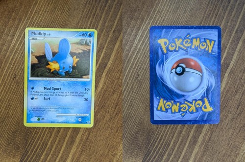 Mudkip 116 147 common - mudkip, supreme