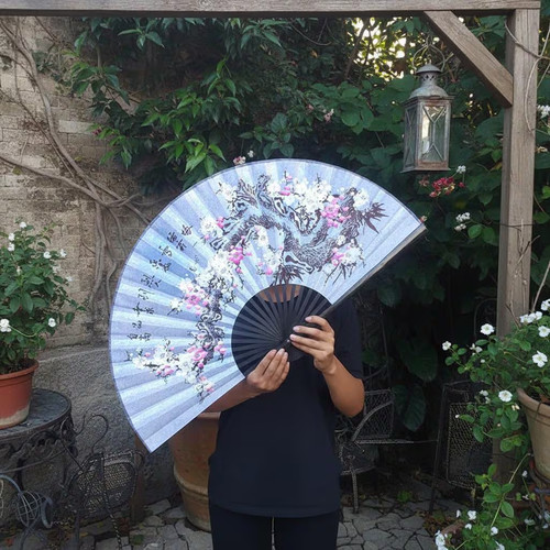 Dragon cherry blossom - dragon, fan