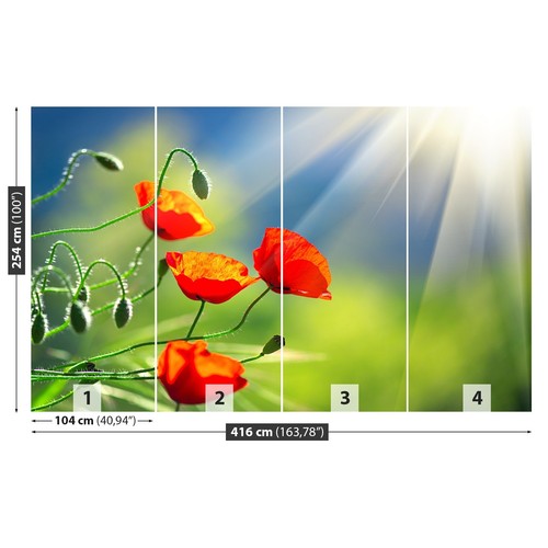 Non woven wall mural - non,