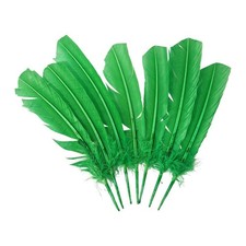 Turkey Feather 10-12 inch Pack