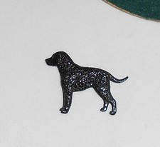 CURLY COATED RETRIEVER Black