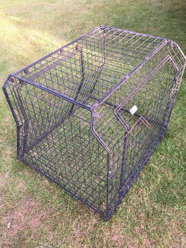 Dog transport cage security - k9,
