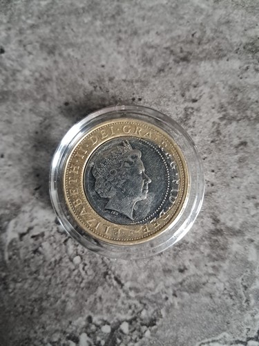 2015 fried egg error - 2015, pound