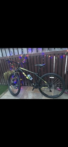 Mountain bike - mountain,