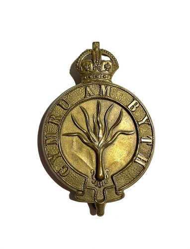 Ww2 era welsh guards cap - ww2,