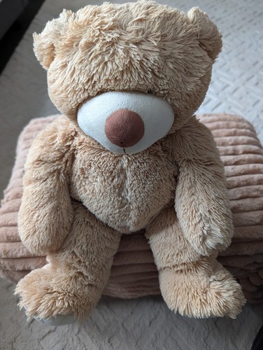Sainsbury large teddy - sainsbury's,
