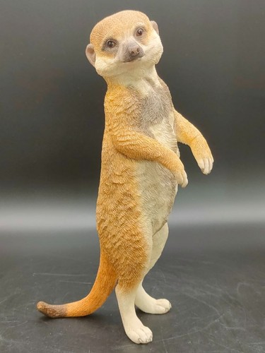 Country artists meerkat baby - country,