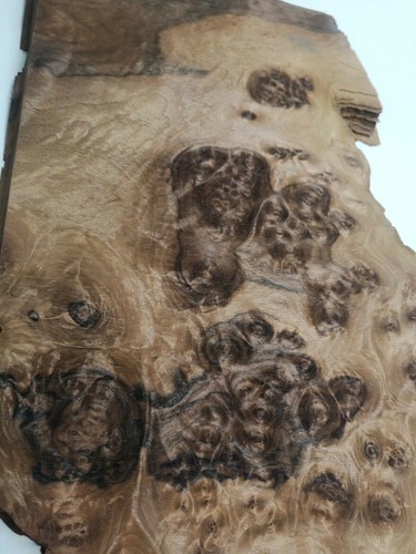 Burr walnut veneer dashboard - walnut, veneer/dashboard