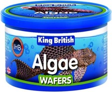 6 x 40g King British Algae