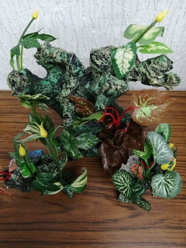 Set small driftwood root - set,