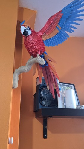 Life size parrot bird - life,
