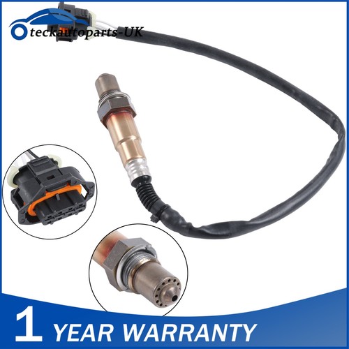 Oxygen sensor rear post - rear, cat