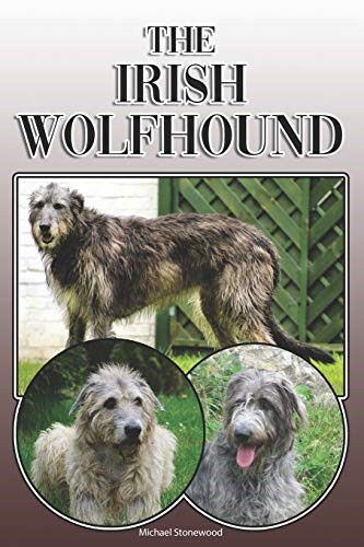 Irish wolfhound a complete - irish, :