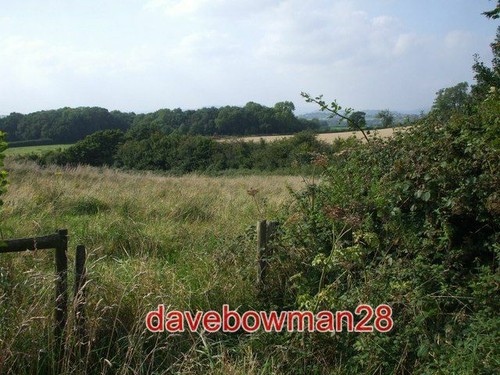 Photo pasture land - palla, farm