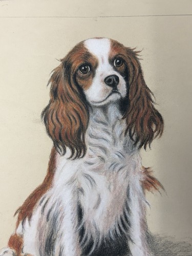Original pastel portrait a - original,