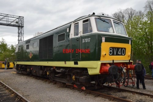 Photo hymek d7017 - hymek,