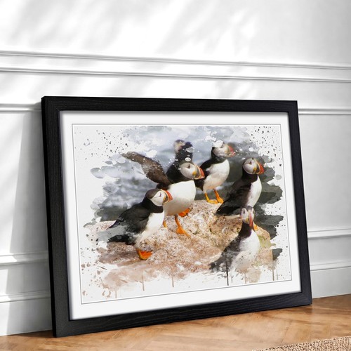 Atlantic puffin birds - puffin, framed