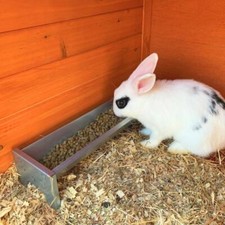 Rabbit feeder - feeder,