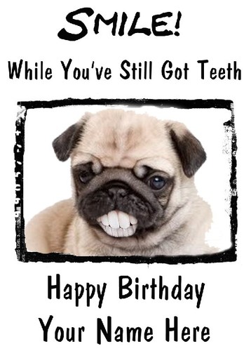 Pug puppy dog a5 - ,