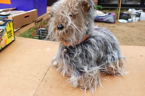Vintage yorkshire terrier - vintage,