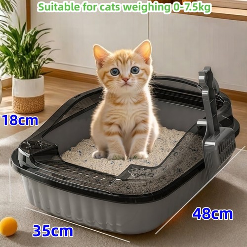 Extra large open - extra, cat