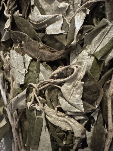Dried ewe ajeobale leaves - dried,