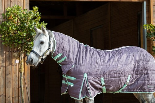 300g stable horse pony rug - stable,