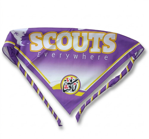Scouts everywhere world scout - scouts,