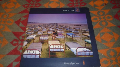 Pink floyd a momentary - pink,