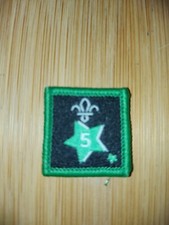 UK Scouting Current Joining In