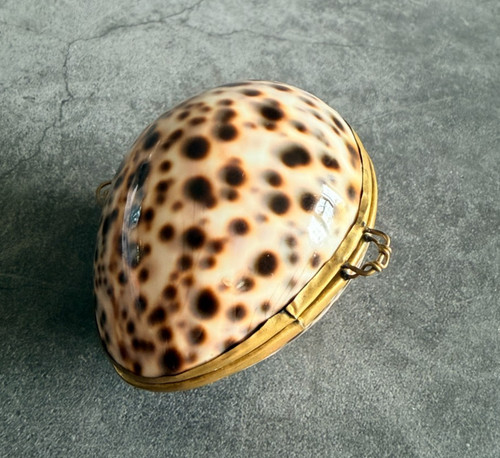 Vintage tiger cowrie shell - vintage,