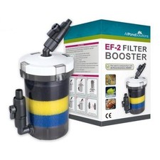 External aquarium fish - external, tank