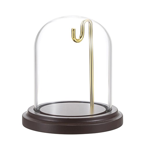 Glass display cloche - display, dome