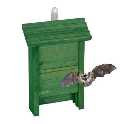 Bat box wooden wildlife - bat,
