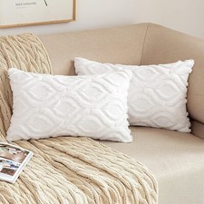 2 x MIULEE 12" x 20" Cushion