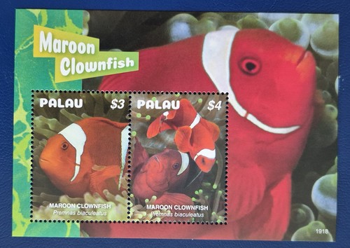 Palau 2019 marine life - 2019, /