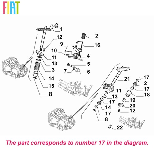 Genuine fiat gear - genuine,