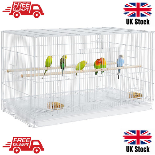 Wide flight bird cage budgies - flight,