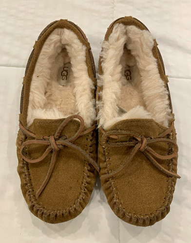 Ugg dakota women brown - dakota, women’s