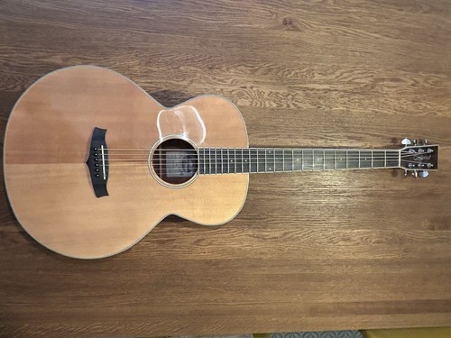 Tanglewood twbz electro - tanglewood,