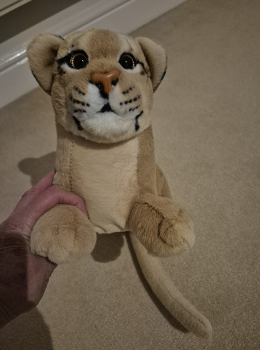 Lifelike lion cub soft toy - cub,
