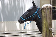 1/4" SOFT ROPE TRAINING HALTER
