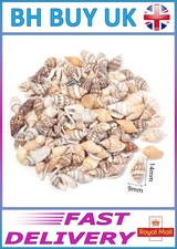 40g AQUARIUM SNAIL SHELLS